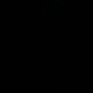 Meet your Posher, Malachi